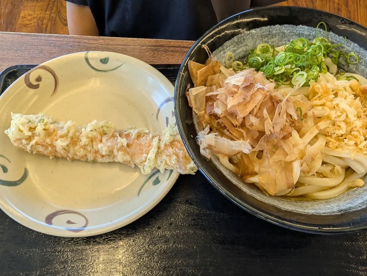 薬味と具材がのったうどん